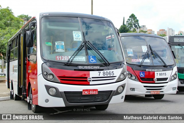 Transwolff Transportes e Turismo 7 8065 na cidade de São Paulo, São Paulo, Brasil, por Matheus Gabriel dos Santos. ID da foto: 7307767.