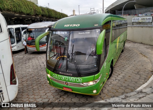 Pássaro Verde 15130 na cidade de Belo Horizonte, Minas Gerais, Brasil, por Vicente de Paulo Alves. Número da foto: #7307650.