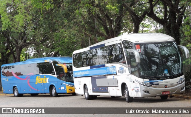 Auto Viação Bragança 18.031 na cidade de São Paulo, São Paulo, Brasil, por Luiz Otavio Matheus da Silva. Número da foto: #7306374.
