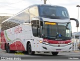 Helios Coletivos e Cargas 444 na cidade de Goiânia, Goiás, Brasil, por Vitor Nunes . Número da foto: #:id.