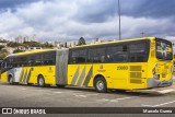 Transportes Capellini 23003 na cidade de São Paulo, São Paulo, Brasil, por Marcelo Guerra. Número da foto: #7307694.