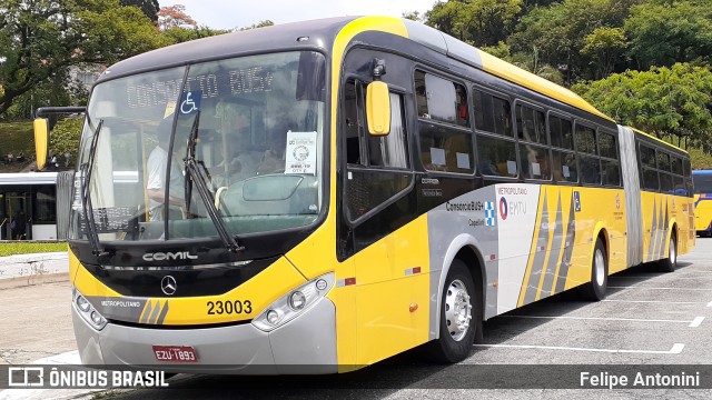 Transportes Capellini 23003 na cidade de São Paulo, São Paulo, Brasil, por Felipe Antonini . Número da foto: #7308383.