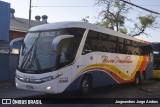 Buses Peñablanca FYBV34 na cidade de Estación Central, Santiago, Metropolitana de Santiago, Chile, por Jorgeandres Jorge Andres. Número da foto: #7309472.