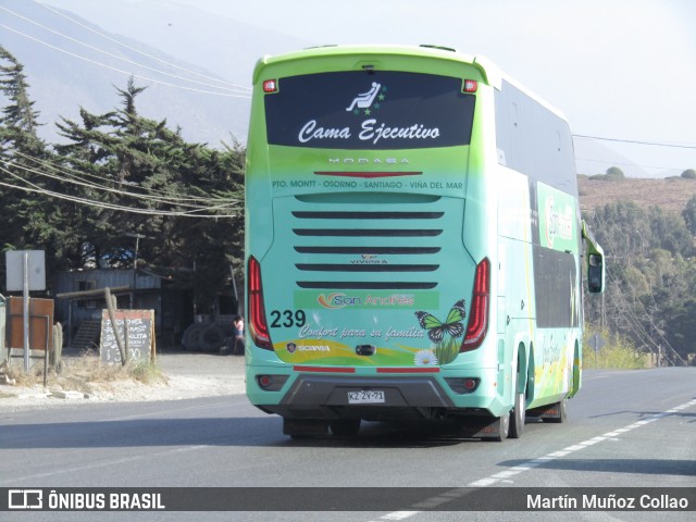 Pullman San Andrés 239 na cidade de Brasil, por Martín Muñoz Collao. Número da foto: #6502955.