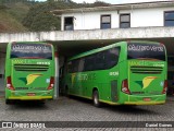 Pássaro Verde 15136 na cidade de Ouro Preto, Minas Gerais, Brasil, por Daniel Gomes. Número da foto: #6501280.