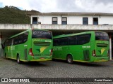 Pássaro Verde 15135 na cidade de Ouro Preto, Minas Gerais, Brasil, por Daniel Gomes. Número da foto: #6501275.