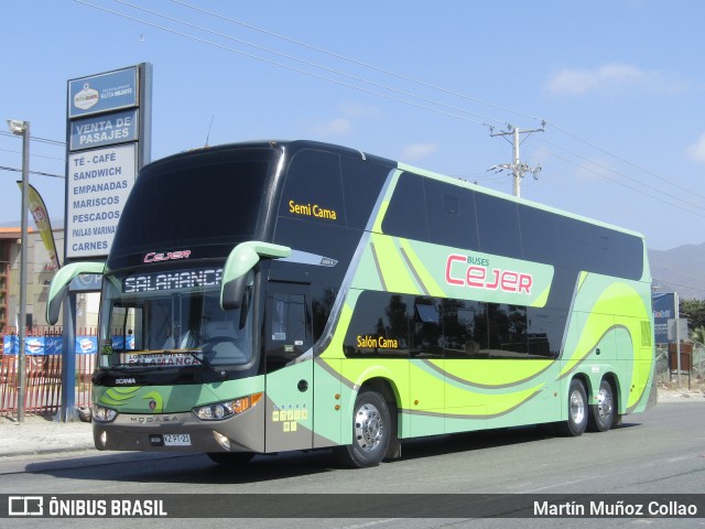 Buses Cejer 50 na cidade de Brasil, por Martín Muñoz Collao. Número da foto: #6508364.