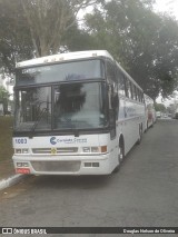 Carniato Correa Transporte e Turismo 1003 na cidade de São Paulo, São Paulo, Brasil, por Douglas Nelson de Oliveira. Número da foto: #6507772.