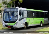 Viação Garcia 8383 na cidade de Apucarana, Paraná, Brasil, por Pedroka Ternoski. Número da foto: #6507076.