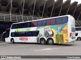 Eucatur - Empresa União Cascavel de Transportes e Turismo 4135 na cidade de Florianópolis, Santa Catarina, Brasil, por Ruan Martinez. Número da foto: #6509595.