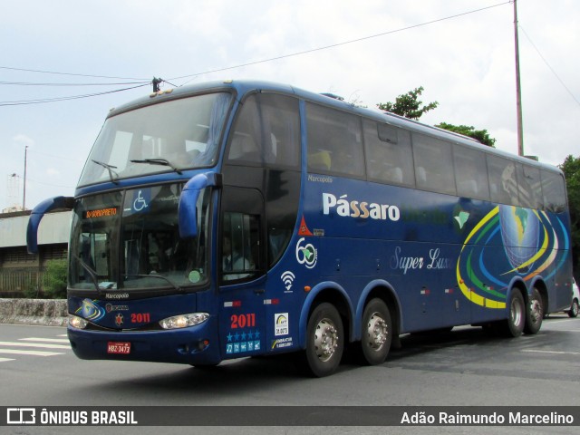 Pássaro Verde 2011 na cidade de Belo Horizonte, Minas Gerais, Brasil, por Adão Raimundo Marcelino. ID da foto: 6512323.