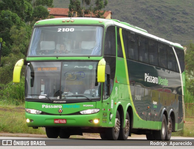 Pássaro Verde 2100 na cidade de Ouro Preto, Minas Gerais, Brasil, por Rodrigo  Aparecido. ID da foto: 6513569.