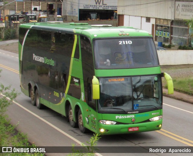 Pássaro Verde 2110 na cidade de Ouro Preto, Minas Gerais, Brasil, por Rodrigo  Aparecido. Número da foto: #6513575.