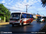 Bupesa 144 na cidade de Estación Central, Santiago, Metropolitana de Santiago, Chile, por Pablo Andres Yavar Espinoza. Número da foto: #6518356.