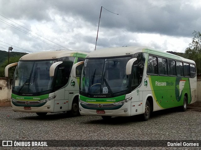 Pássaro Verde 11090 na cidade de Ouro Preto, Minas Gerais, Brasil, por Daniel Gomes. Número da foto: #6520461.