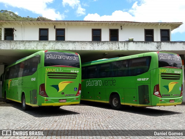 Pássaro Verde 1048 na cidade de Ouro Preto, Minas Gerais, Brasil, por Daniel Gomes. Número da foto: #6522662.