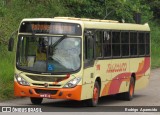 Transcotta Turismo 290 na cidade de Mariana, Minas Gerais, Brasil, por Rodrigo  Aparecido. Número da foto: #6523325.