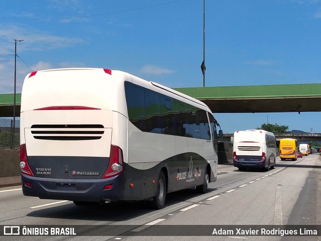 Marcopolo  na cidade de Cubatão, São Paulo, Brasil, por Adam Xavier Rodrigues Lima. ID da foto: 6524252.