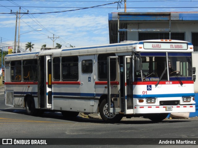 Alpizar 01 na cidade de Costa Rica, Mato Grosso do Sul, Brasil, por Andrés Martínez Rodríguez. ID da foto: 6523713.