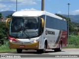 Rouxinol 350 na cidade de Belo Horizonte, Minas Gerais, Brasil, por Adão Raimundo Marcelino. Número da foto: #:id.
