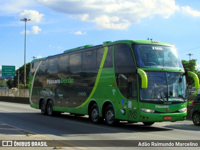 Pássaro Verde 2100 na cidade de Belo Horizonte, Minas Gerais, Brasil, por Adão Raimundo Marcelino. ID da foto: 6529784.