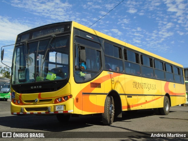 TRANSTUGA S.A. 11 na cidade de Costa Rica, Mato Grosso do Sul, Brasil, por Andrés Martínez Rodríguez. ID da foto: 6534742.