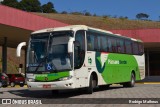 Pássaro Verde 29016 na cidade de João Monlevade, Minas Gerais, Brasil, por Rodrigo Matheus. Número da foto: #:id.