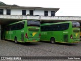 Pássaro Verde 15128 na cidade de Ouro Preto, Minas Gerais, Brasil, por Daniel Gomes. Número da foto: #6537032.