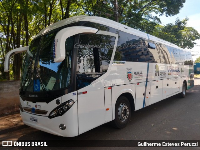 Prefeitura Municipal de Ubiratã 202 na cidade de Campo Mourão, Paraná, Brasil, por Guilherme Esteves Peruzzi. Número da foto: #6539154.