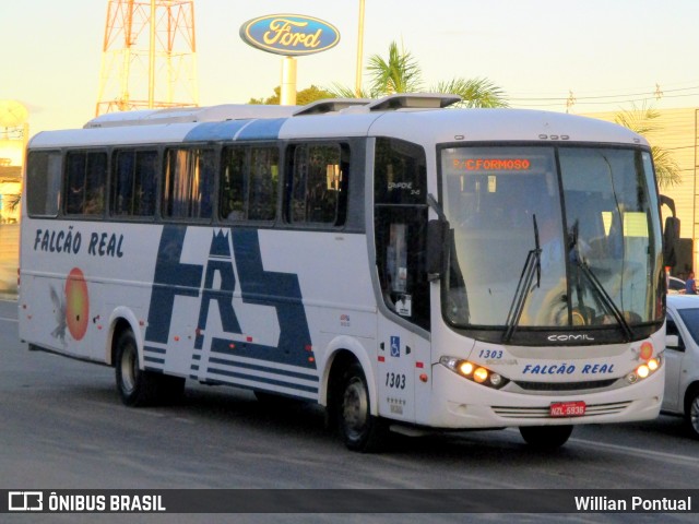 Falcão Real 1303 na cidade de Feira de Santana, Bahia, Brasil, por Willian Pontual. ID da foto: 6482202.