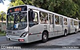 Araucária Transportes Coletivos LR801 na cidade de Brasil, por Vitor Viel de Souza. Número da foto: #:id.