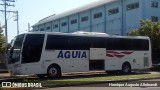 Águia 1617 na cidade de Teutônia, Rio Grande do Sul, Brasil, por Henrique Augusto Allebrandt. Número da foto: #:id.