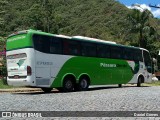 Pássaro Verde 27003 na cidade de Ouro Preto, Minas Gerais, Brasil, por Daniel Gomes. Número da foto: #6485203.