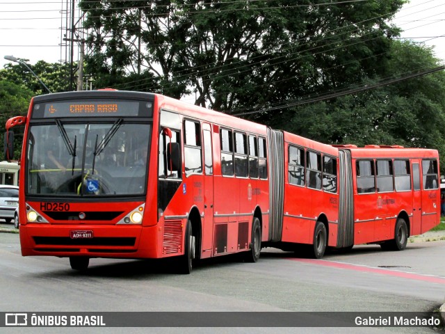 Auto Viação Redentor HD250 na cidade de Curitiba, Paraná, Brasil, por Gabriel Machado. Número da foto: #6487836.