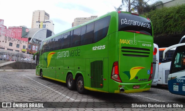 Pássaro Verde 12125 na cidade de Belo Horizonte, Minas Gerais, Brasil, por Silvano Barboza da Silva. Número da foto: #6488893.