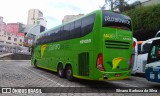 Pássaro Verde 12125 na cidade de Belo Horizonte, Minas Gerais, Brasil, por Silvano Barboza da Silva. Número da foto: #:id.