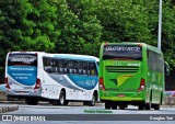 Pássaro Verde 15134 na cidade de Belo Horizonte, Minas Gerais, Brasil, por Douglas Yuri. Número da foto: #:id.