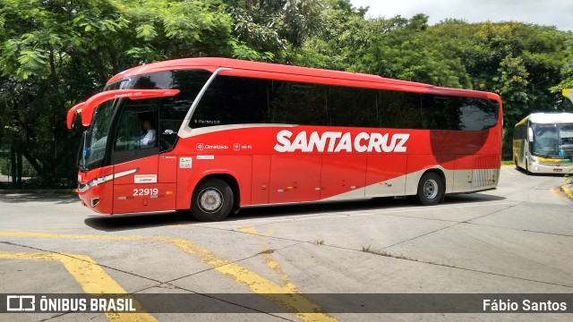 Viação Santa Cruz 22919 na cidade de São Paulo, São Paulo, Brasil, por Fábio Santos. Número da foto: #6494702.