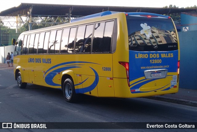 Viação Lírio dos Vales 12800 na cidade de Cariacica, Espírito Santo, Brasil, por Everton Costa Goltara. Número da foto: #6541103.