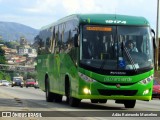 Pássaro Verde 19174 na cidade de Belo Horizonte, Minas Gerais, Brasil, por Adão Raimundo Marcelino. Número da foto: #6563923.