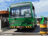 Viação Santa Brígida 8380 na cidade de São Paulo, São Paulo, Brasil, por David Reis. Número da foto: #6563354.