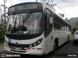 Puma Pardo 00 na cidade de Santa Teresita, Turrialba, Cartago, Costa Rica, por Yliand Sojo. Número da foto: #:id.