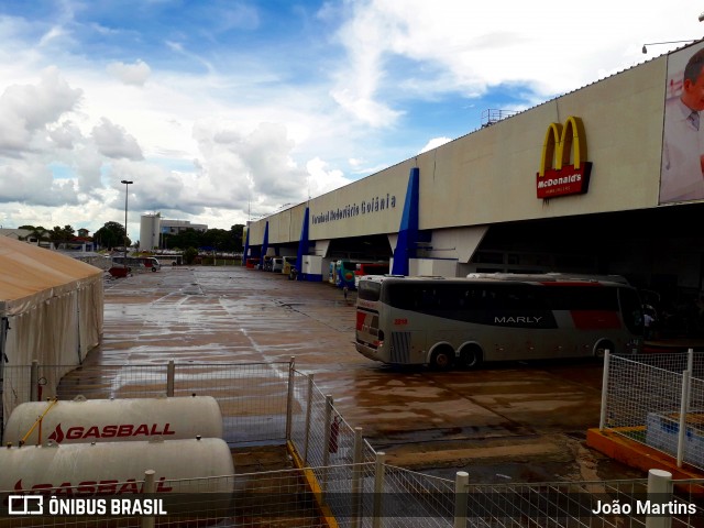 Expresso Marly 2218 na cidade de Goiânia, Goiás, Brasil, por João Martins. Número da foto: #6568657.
