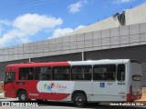 Expresso Luziense > Territorial Com. Part. e Empreendimentos 30610 na cidade de Santa Luzia, Minas Gerais, Brasil, por Joase Batista da Silva. Número da foto: #6569847.