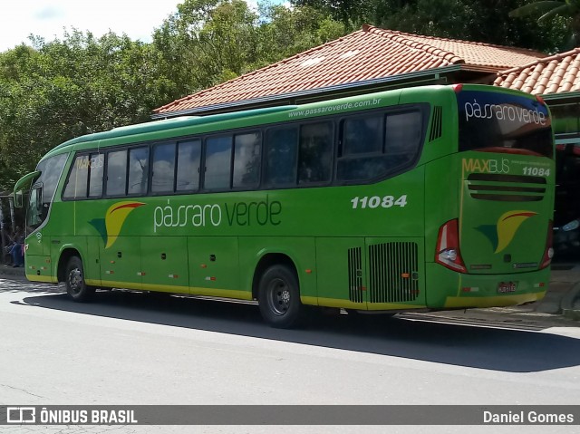 Pássaro Verde 11084 na cidade de Ouro Preto, Minas Gerais, Brasil, por Daniel Gomes. ID da foto: 6572593.