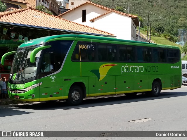 Pássaro Verde 11084 na cidade de Ouro Preto, Minas Gerais, Brasil, por Daniel Gomes. ID da foto: 6572562.