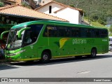 Pássaro Verde 11084 na cidade de Ouro Preto, Minas Gerais, Brasil, por Daniel Gomes. Número da foto: #6572562.