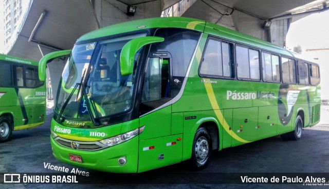 Pássaro Verde 11100 na cidade de Belo Horizonte, Minas Gerais, Brasil, por Vicente de Paulo Alves. Número da foto: #6576336.