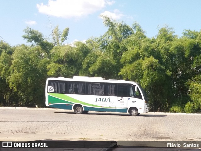 Viação Jauá 650 na cidade de Cruz das Almas, Bahia, Brasil, por Flávio  Santos. Número da foto: #6575514.