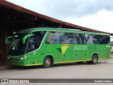 Pássaro Verde 15128 na cidade de Ouro Preto, Minas Gerais, Brasil, por Daniel Gomes. Número da foto: #6576177.